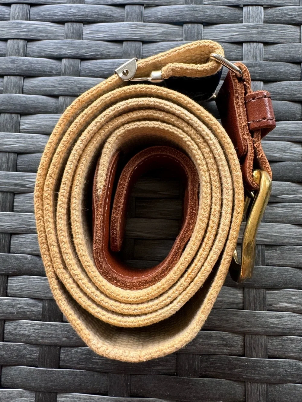 Vintage Waterfowl Belt